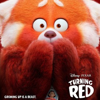 Poster of Turning Red (2022)