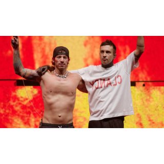 Twenty One Pilots: More Than We Ever Imagined Picture 2