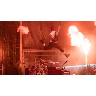 Twenty One Pilots: More Than We Ever Imagined Picture 5