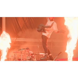 Twenty One Pilots: More Than We Ever Imagined Picture 6