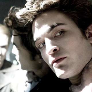 Twilight Picture 5