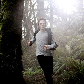 Twilight Picture 16