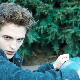 Twilight Picture 20