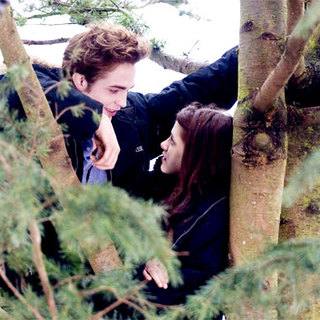 Twilight Picture 28