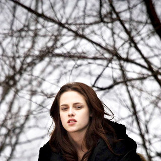 Twilight Picture 31