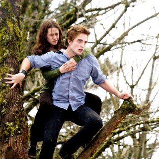 Twilight Picture 32