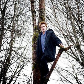 Twilight Picture 33