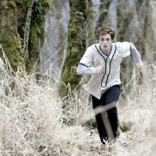 Twilight Picture 38