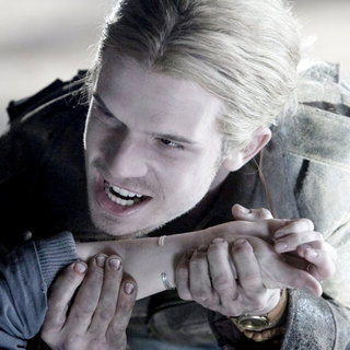 Twilight Picture 49