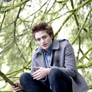 Twilight Picture 80