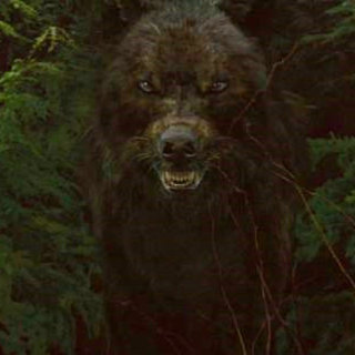 Twilight Saga's New Moon, The Picture 111