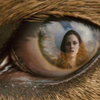 Twilight Saga's New Moon, The Picture 112