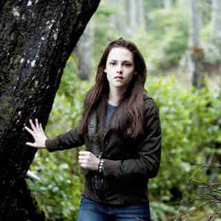 Twilight Saga's New Moon, The Picture 114