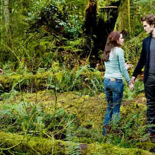 Twilight Saga's New Moon, The Picture 138