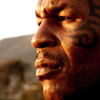 Tyson Picture 9