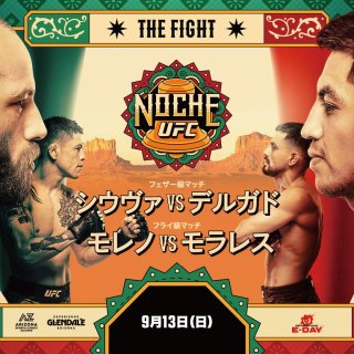 UFC Fight Night 288: Silva vs. Delgado (2026)