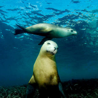 Under The Sea 3D Picture 2