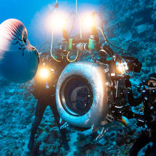 Under The Sea 3D Picture 10