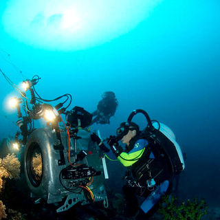Under The Sea 3D Picture 15