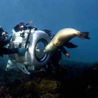 A scene from IMAX's Under the Sea 3D (2009)