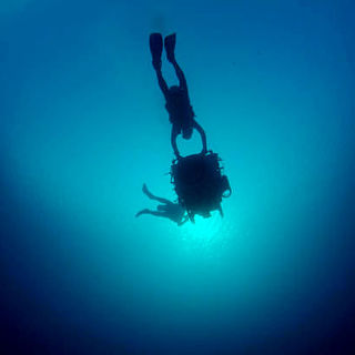 Under The Sea 3D Picture 22