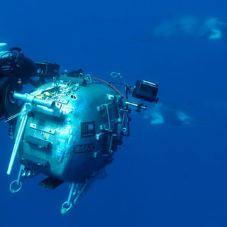 Under The Sea 3D Picture 24