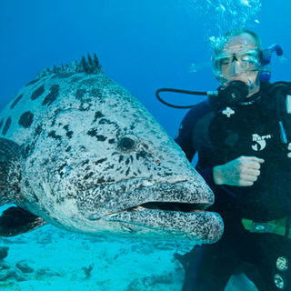 Under The Sea 3D Picture 28
