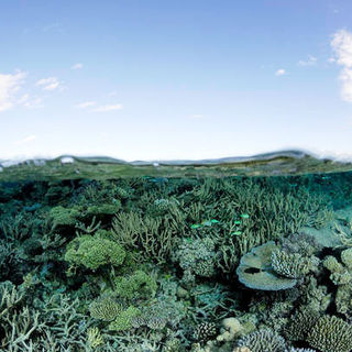 Under The Sea 3D Picture 30