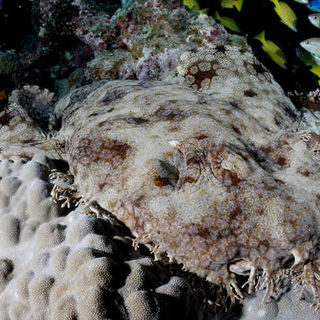 Under The Sea 3D Picture 31