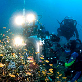 Under The Sea 3D Picture 35