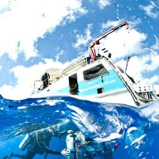 Under The Sea 3D Picture 37