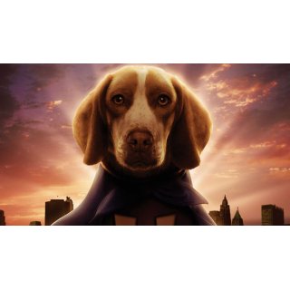 Underdog (2007)