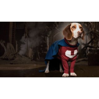 Underdog (2007)