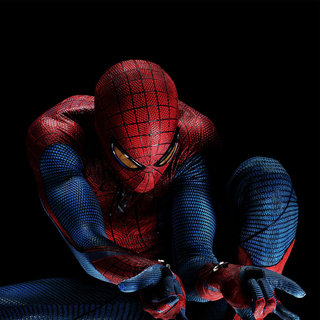 The Amazing Spider-Man Picture 3