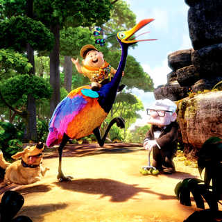 Up Picture 13
