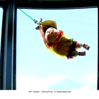 Up Picture 16