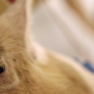Upstream Color Picture 9