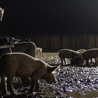 Upstream Color Picture 10