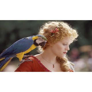 Vanity Fair (2004)
