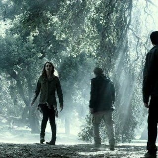 Veil, The Picture 1