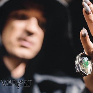 Voldemort: Origins Of The Heir Picture 12