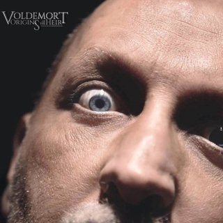 Voldemort: Origins Of The Heir Picture 6