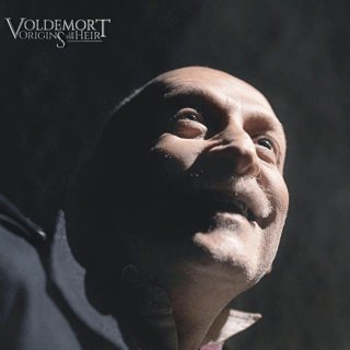 Voldemort: Origins Of The Heir Picture 10