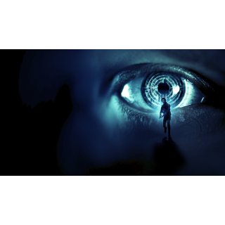 Volition Picture 1