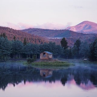 Walden: Life In The Woods Picture 3