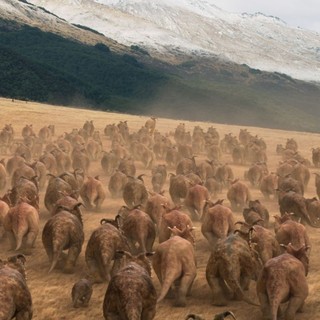 Walking With Dinosaurs Picture 15