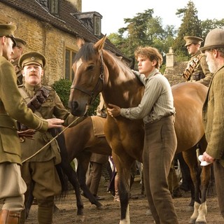 War Horse Picture 15