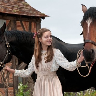 War Horse Picture 19