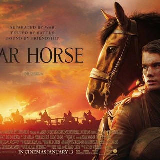 War Horse Picture 9