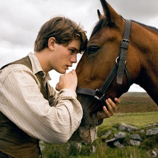 War Horse Picture 2